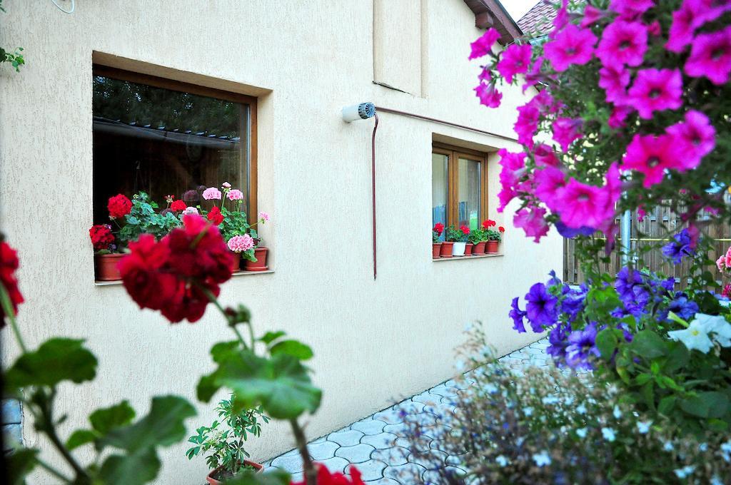 Casa Maria Hotel Gura Humorului Kültér fotó